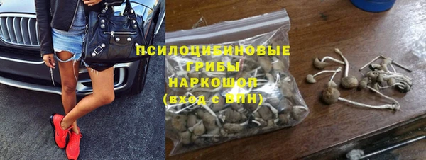 шишки Бабаево
