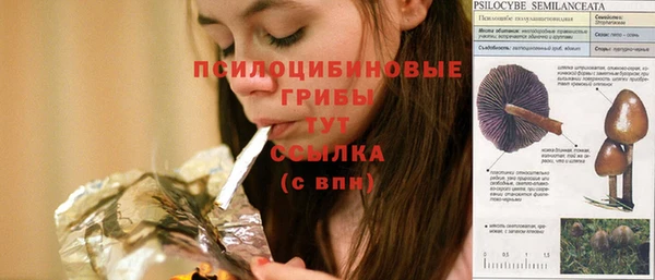 ECSTASY Алексеевка